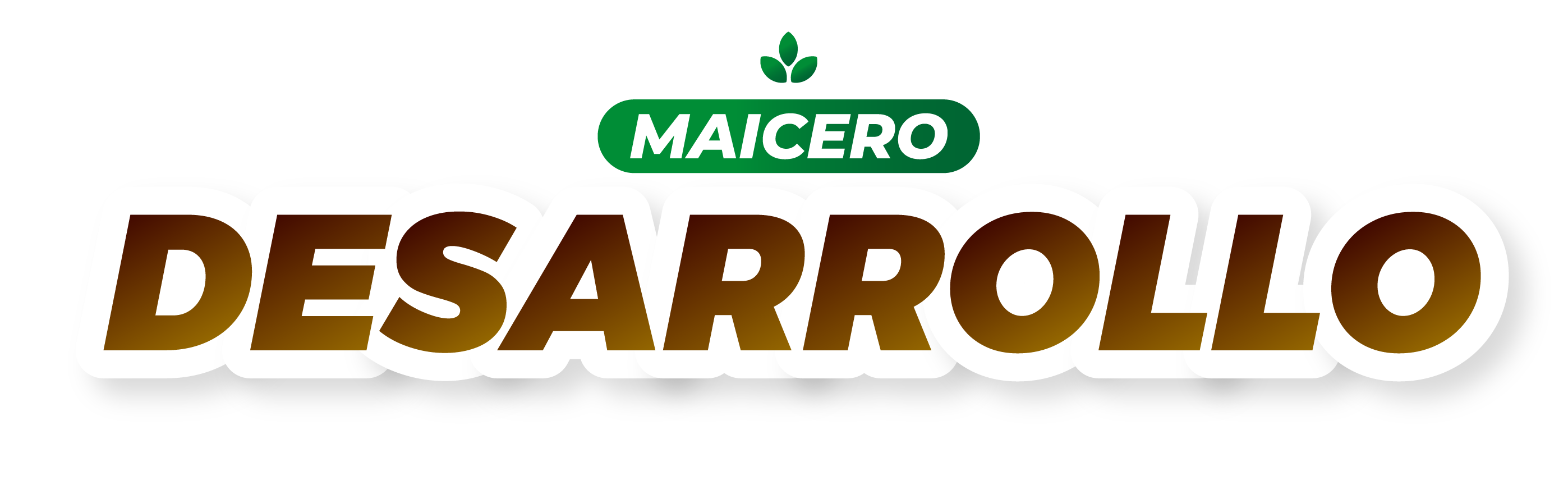Desarrollo
